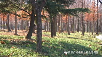 沙墩河公園悄悄發(fā)生著變化