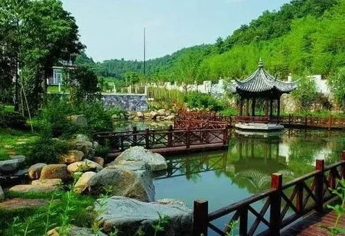 華東地區(qū)苗木交易市場(chǎng)行情不錯(cuò),這些熱銷苗木你種了嗎