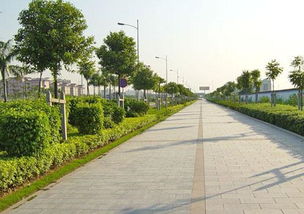 如何在市政道路園林施工完善綠化養護管理 好養護