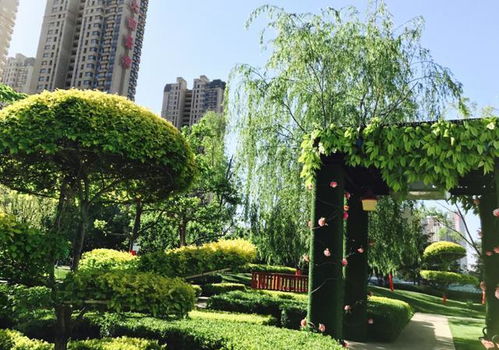 科普貼士 園林綠化對購房的重要性