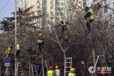 北京市石景山區園林綠化局綠化工程二隊