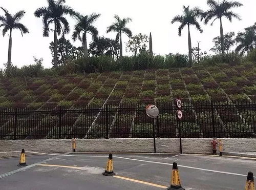 生態綠化護坡施工工藝
