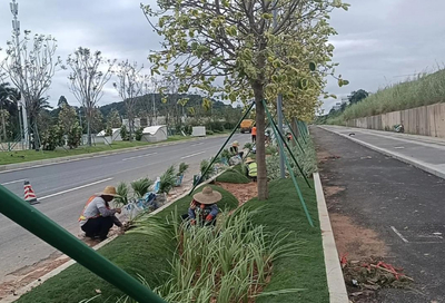 天津耐用園林綠化工程施工預算