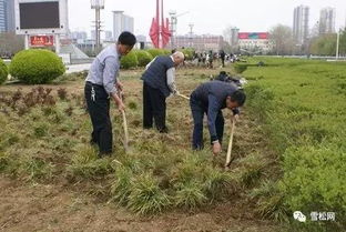 園林綠化工程施工技術規(guī)范大全 萬字長文