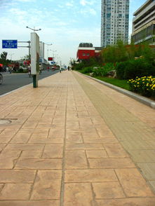 亞石供應無錫市公園路面彩色混凝土壓模地坪