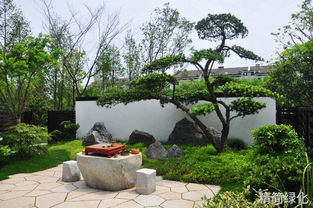 人承接各種風格庭院景觀設計施工,承接私家庭院 小區等綠植養護維護管理