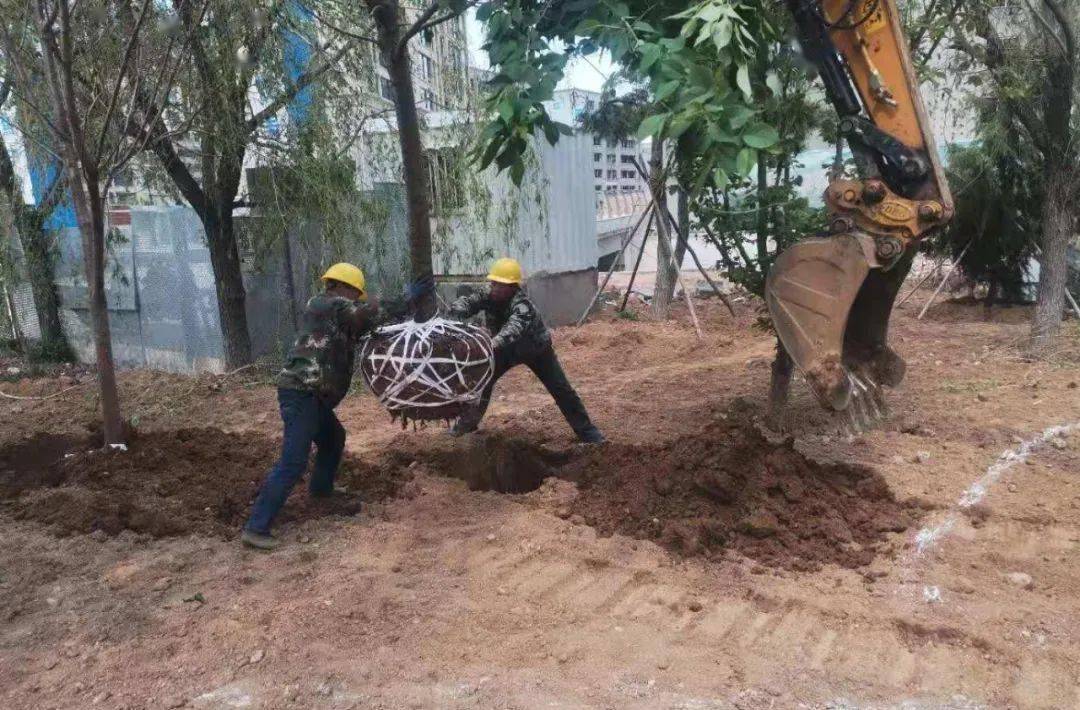 五一勞動節: 市住建局園林綠化服務中心忙建設、忙養護,營造干凈美麗環境