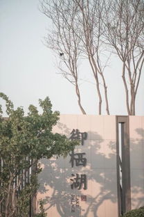 佛山地區(qū)專業(yè)承包園林綠化設(shè)計(jì)施工 花園養(yǎng)護(hù)工程 別墅設(shè)計(jì)施工